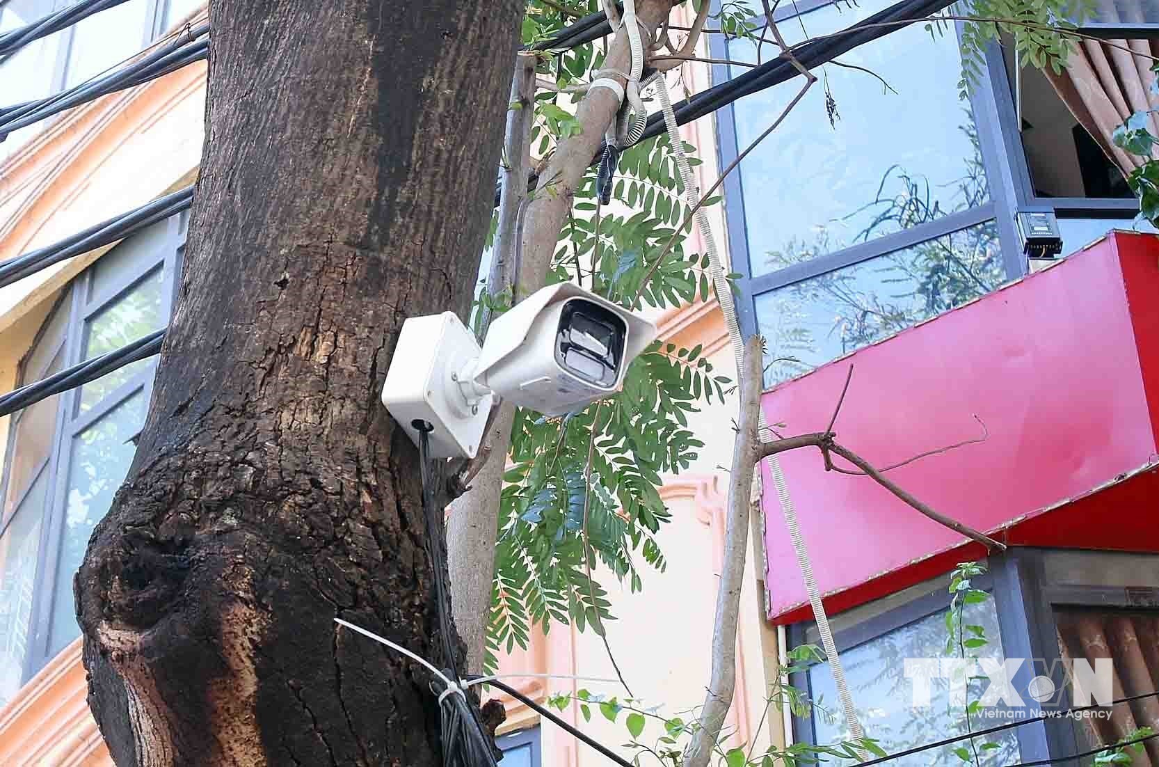 655 camera tích hợp AI được đặt tại địa bàn dân cư để giám sát và kịp thời phát hiện xử lý những vi phạm về trật tự đô thị, nhất là hành vi chiếm dụng vỉa hè lòng đường làm nơi kinh doanh, dừng đỗ xe sai quy định và đổ rác, phế thải không đúng nơi quy định, kịp thời ngăn chặn, truy vết đối tượng, phương tiện từ các vụ việc mâu thuẫn, vụ việc phạm pháp hình sự trên địa bàn. (Ảnh: Phạm Kiên/TTXVN)